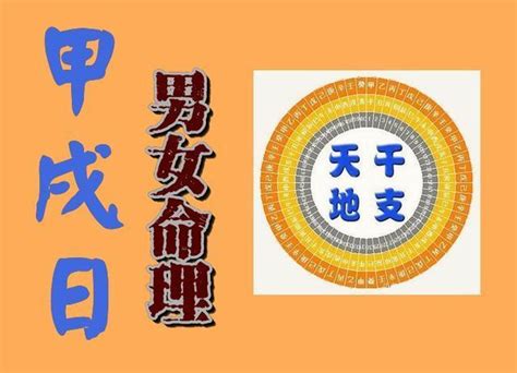 日柱甲戌|甲戌日柱：2024運勢大公開